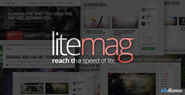 LiteMag 极简杂志 WordPress主题 v1.5-创客云